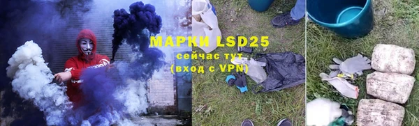 спиды Майский
