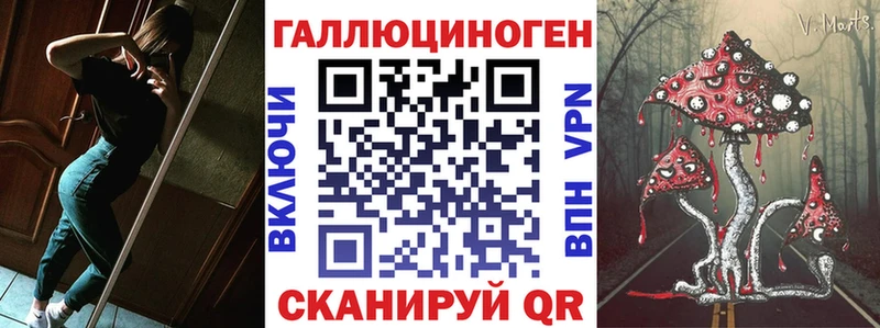 Псилоцибиновые грибы Psilocybine cubensis где продают Шумерля